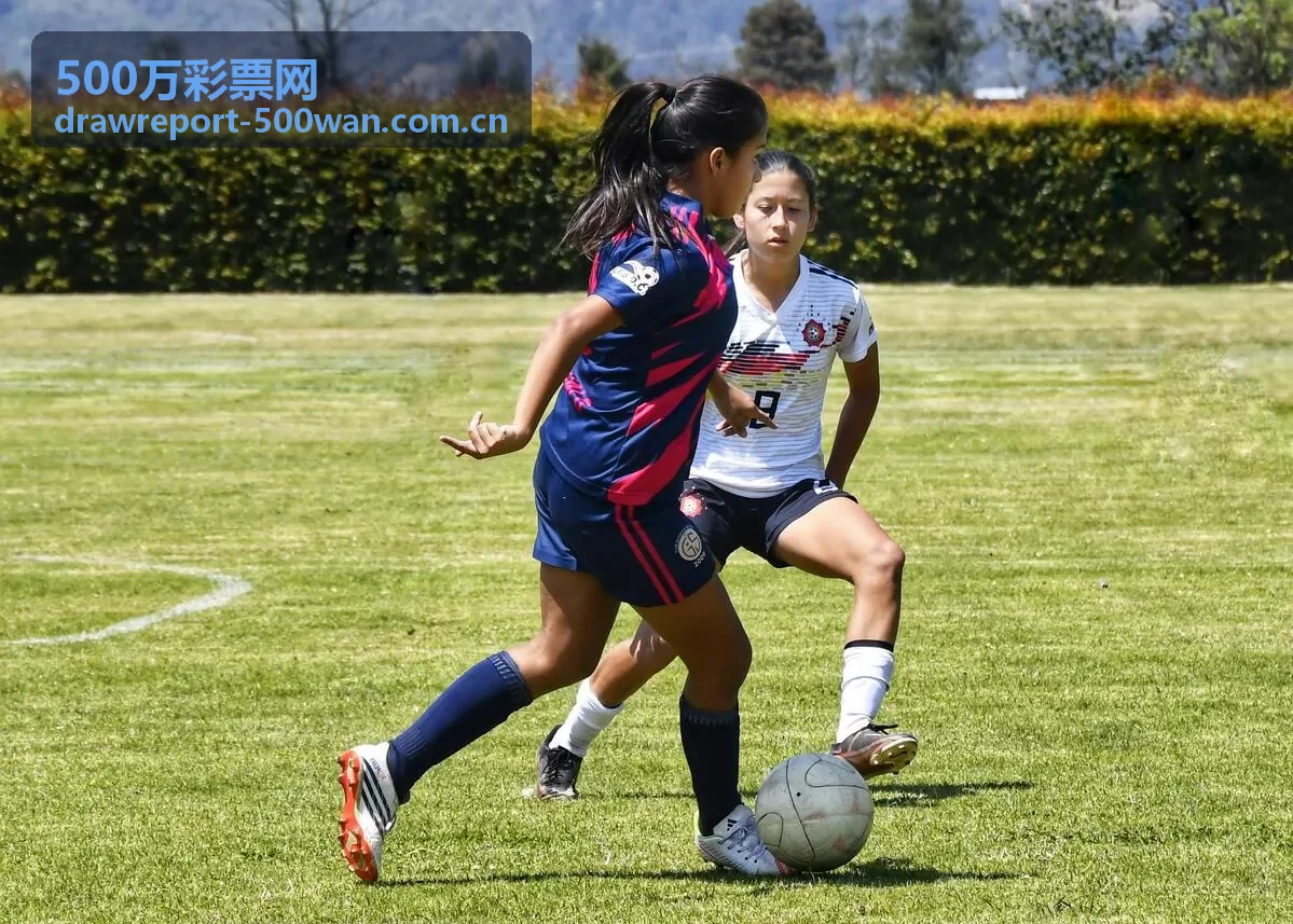 500万彩票网数据源校验临时停更说明